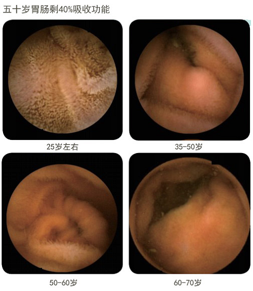 风险久久久久久亚洲精品影院