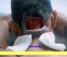 风险久久久久久亚洲精品影院