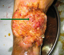 风险久久久久久亚洲精品影院