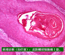 风险久久久久久亚洲精品影院