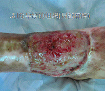 风险久久久久久亚洲精品影院