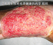 风险久久久久久亚洲精品影院