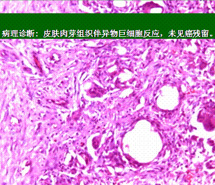 风险久久久久久亚洲精品影院