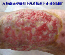 风险久久久久久亚洲精品影院