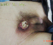 风险久久久久久亚洲精品影院