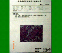 风险久久久久久亚洲精品影院