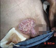 风险久久久久久亚洲精品影院