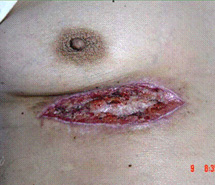 风险久久久久久亚洲精品影院