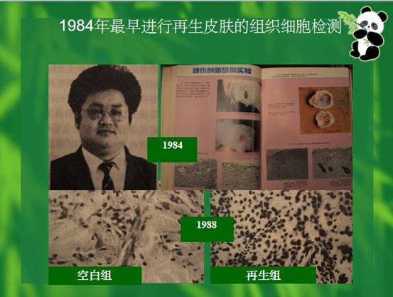 风险久久久久久亚洲精品影院