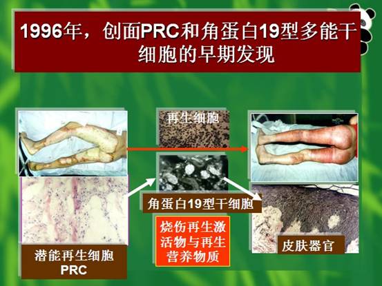 风险久久久久久亚洲精品影院