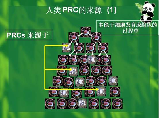 风险久久久久久亚洲精品影院