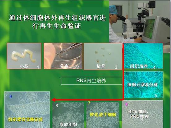 风险久久久久久亚洲精品影院