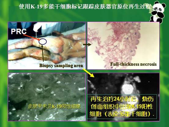 风险久久久久久亚洲精品影院