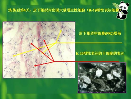 风险久久久久久亚洲精品影院