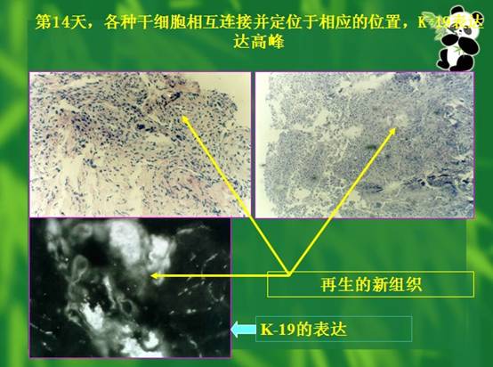 风险久久久久久亚洲精品影院