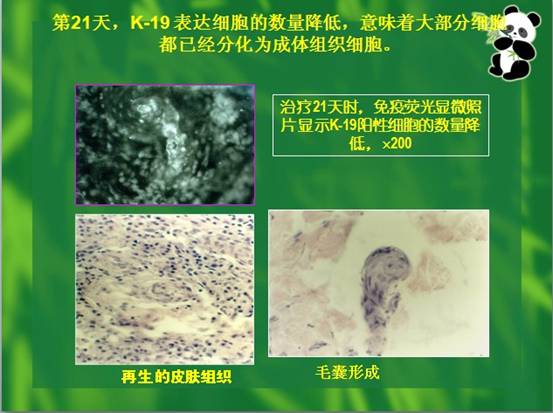 风险久久久久久亚洲精品影院