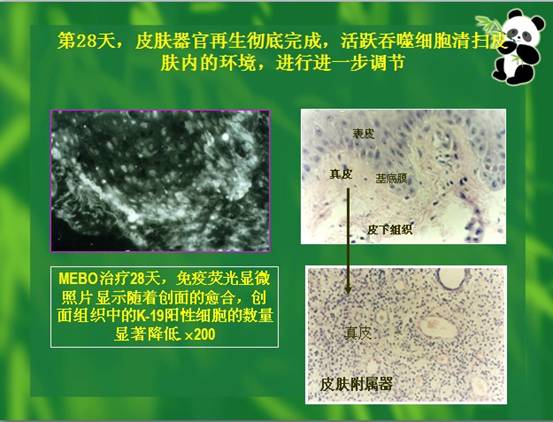 风险久久久久久亚洲精品影院