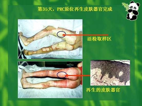 风险久久久久久亚洲精品影院