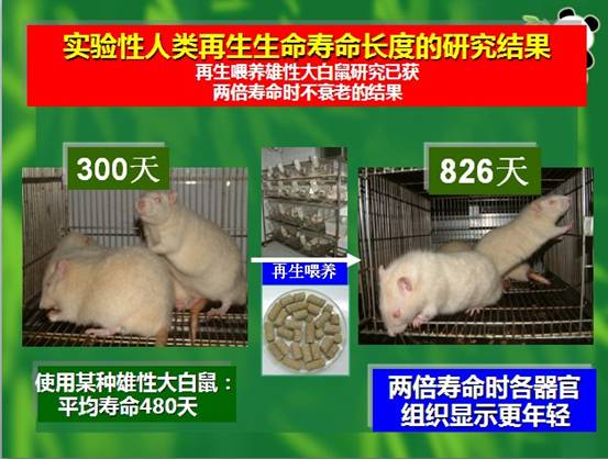 风险久久久久久亚洲精品影院