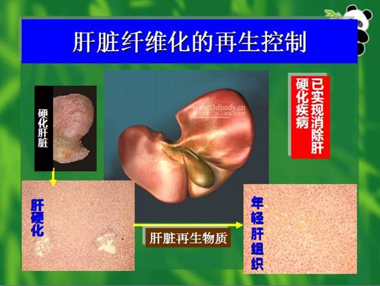 风险久久久久久亚洲精品影院