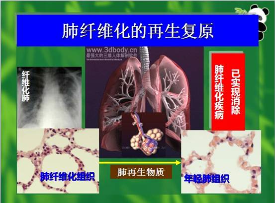 风险久久久久久亚洲精品影院