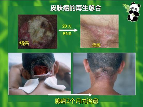 风险久久久久久亚洲精品影院