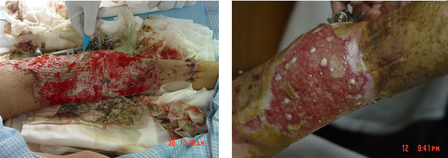 风险久久久久久亚洲精品影院