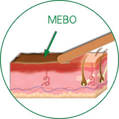 风险久久久久久亚洲精品影院