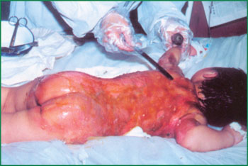 风险久久久久久亚洲精品影院