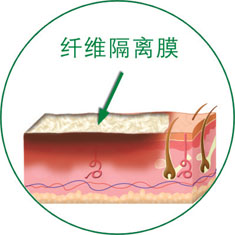 风险久久久久久亚洲精品影院