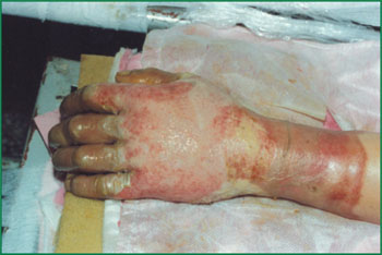 风险久久久久久亚洲精品影院