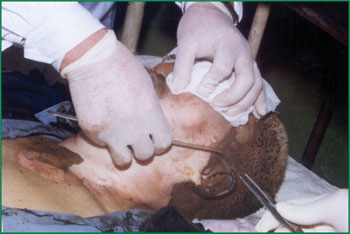 风险久久久久久亚洲精品影院