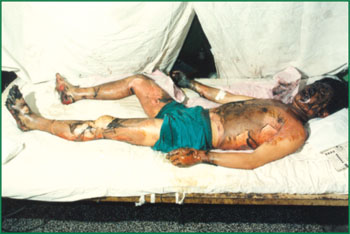 风险久久久久久亚洲精品影院