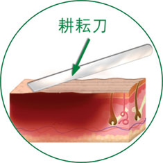 风险久久久久久亚洲精品影院