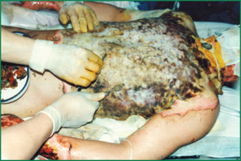 风险久久久久久亚洲精品影院