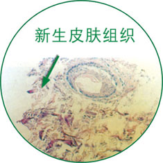 风险久久久久久亚洲精品影院