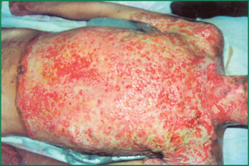 风险久久久久久亚洲精品影院