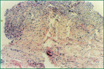 风险久久久久久亚洲精品影院