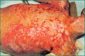 风险久久久久久亚洲精品影院