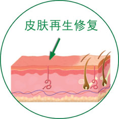 风险久久久久久亚洲精品影院