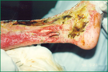 风险久久久久久亚洲精品影院