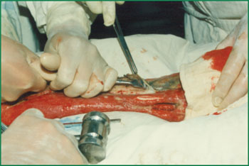 风险久久久久久亚洲精品影院