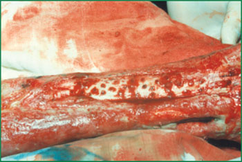 风险久久久久久亚洲精品影院