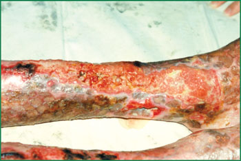 风险久久久久久亚洲精品影院