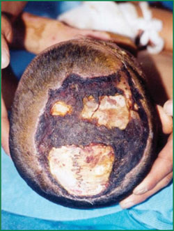 风险久久久久久亚洲精品影院