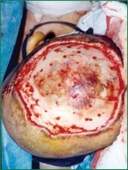 风险久久久久久亚洲精品影院