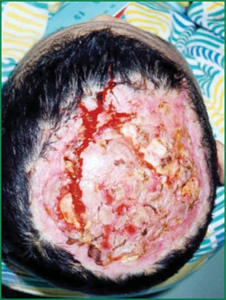 风险久久久久久亚洲精品影院