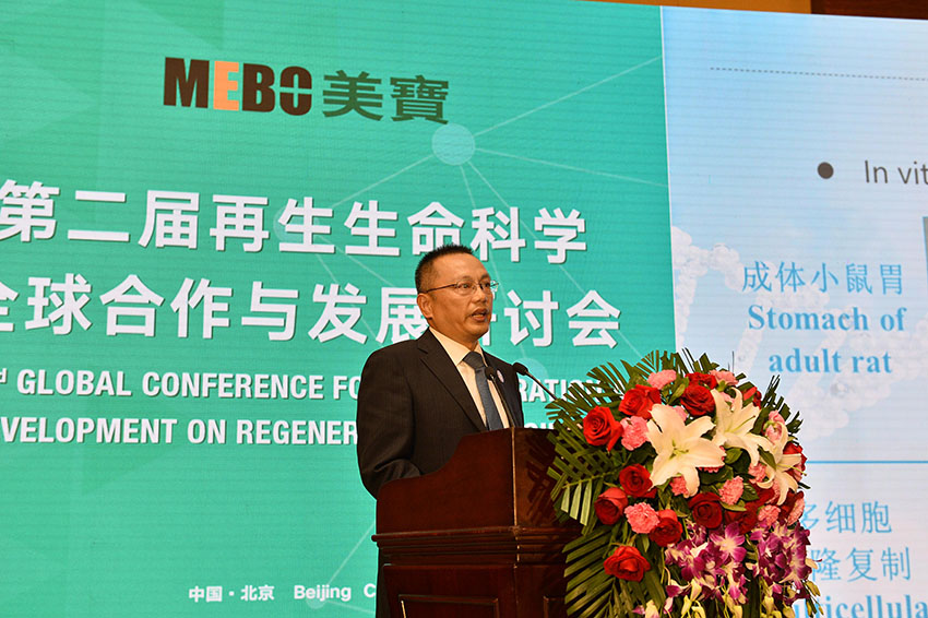 风险久久久久久亚洲精品影院