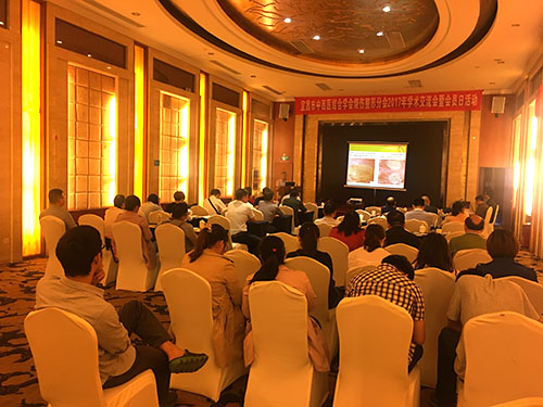 风险久久久久久亚洲精品影院