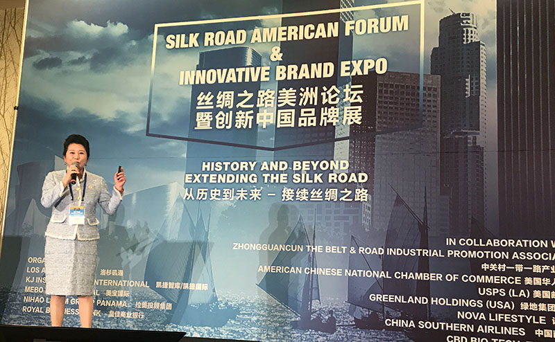 风险久久久久久亚洲精品影院